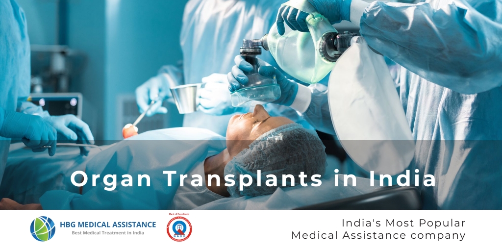 Organ Transplant In India Hbg Medical Assistance